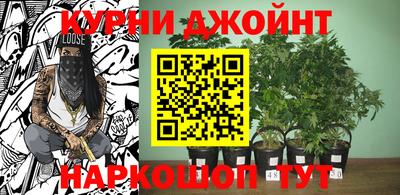 эйфоретик Пугачёв