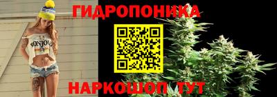 эйфоретик Пугачёв
