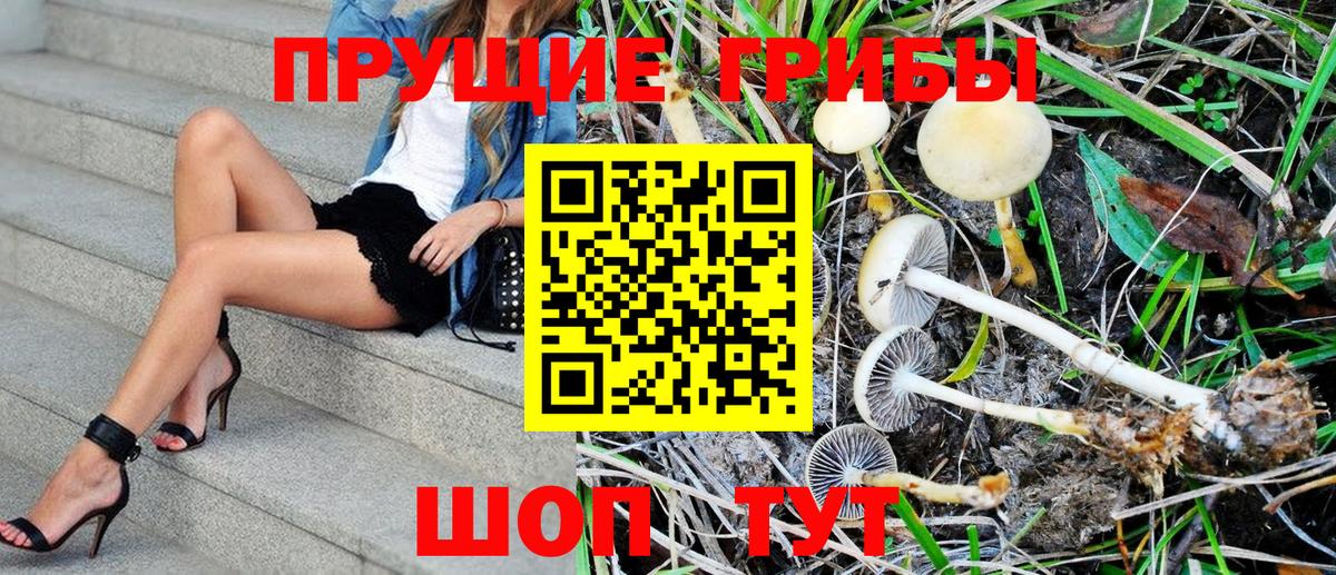 Славянск-на-Кубани  Псилоцибиновые грибы Magic Shrooms  Вход с VPN 